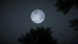 Moonsteel
