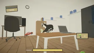 Cat Chaos