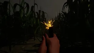 The Corn Maze: Rebirth