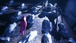 Spider Maze