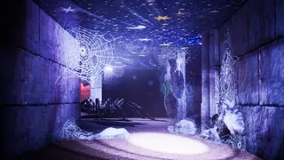 Spider Maze