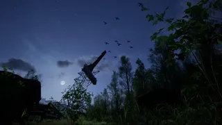 Forest Doesn’t Care