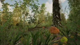 Скриншот 8 к игре Forest Doesn’t Care