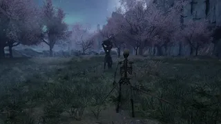 Bone Souls