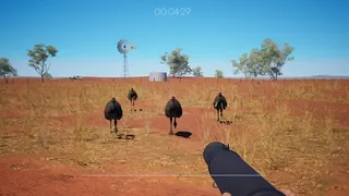 For The Wheat