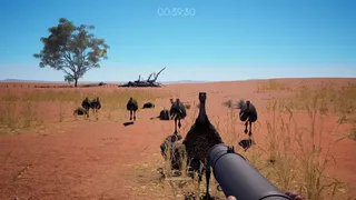 For The Wheat