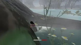 The Queen Riding Insects
