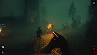 Blood Bear
