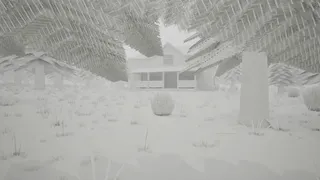 White Forest