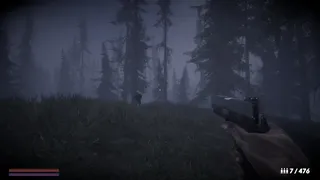 Horror in the forest