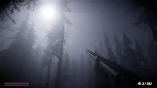 Horror in the forest