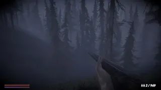 Horror in the forest