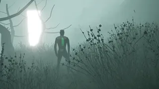 Beyond The Valley