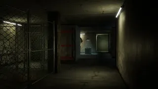 Like a dog