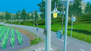 セミたちはどう生きるか