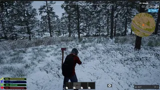 Ash Survival