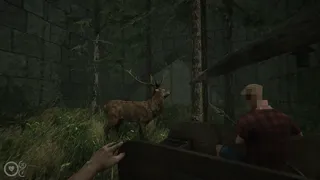 MAZEBOUND: Hunt, Gather, Run!