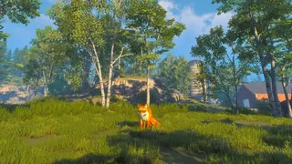 Chill Fox