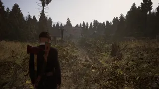 Souls of the Dead