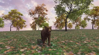 Robinsons Simulations World