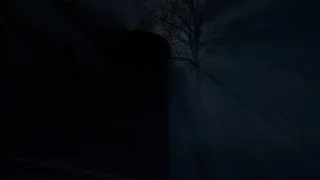 Fallen