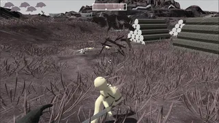 Begin the Slaughter