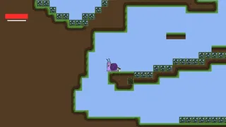 A Snail's Pace