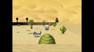 Grand Sands