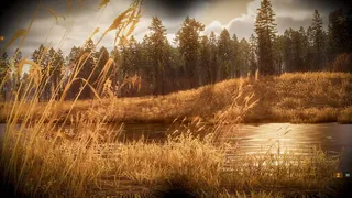 BULT: Hunting simulator