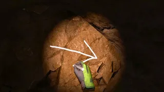 Скриншот 5 к игре Cave Crave VR