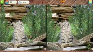 Скриншот 6 к игре Peaceful Gardens 2: Cute Cats - Hidden Objects Collector's Edition