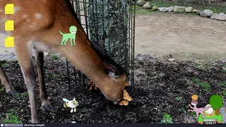 デスクトップマスコット ~ たすモンの小島