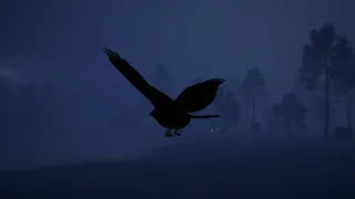 Eagle Legacy: Zero
