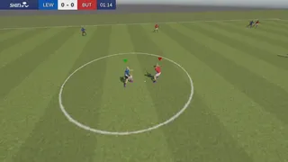 Pure Shinty
