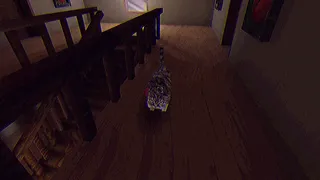 (BURIED TAPES) The Cleaner