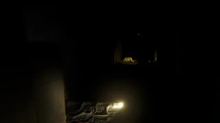 NEH