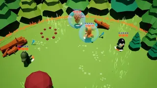 Wild Wizards