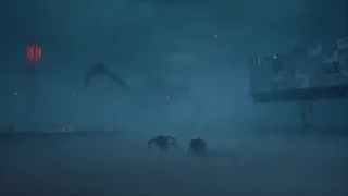 Level 11.11