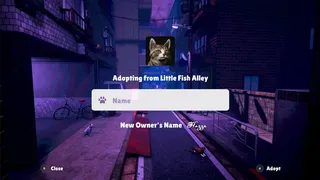 Alley Cats Idle