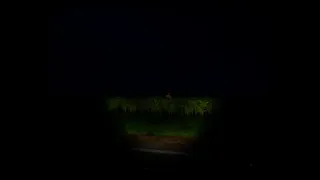 Скриншот 8 к игре Dead Apples Dare