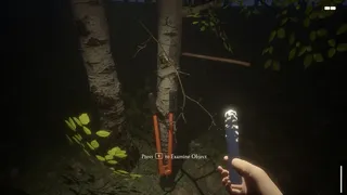 The First Nightmare