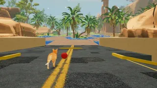 Cat's Rage