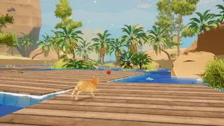 Cat's Rage