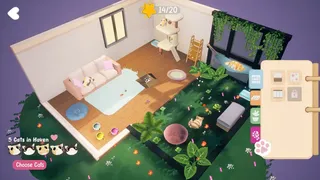 Kitty Haven