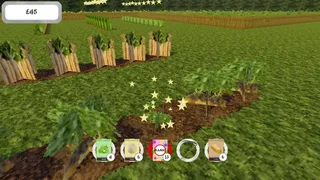 The Field Between