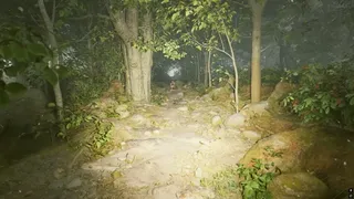 Туманные источники Misty Onsen