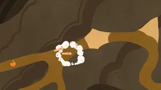 RaceWorms