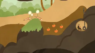 RaceWorms