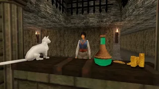 Dungeon Bodega Simulator