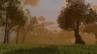 Birds Watching